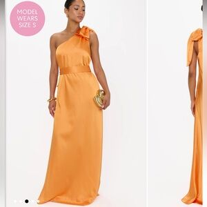 Show me your mumu Jackie maxi dress